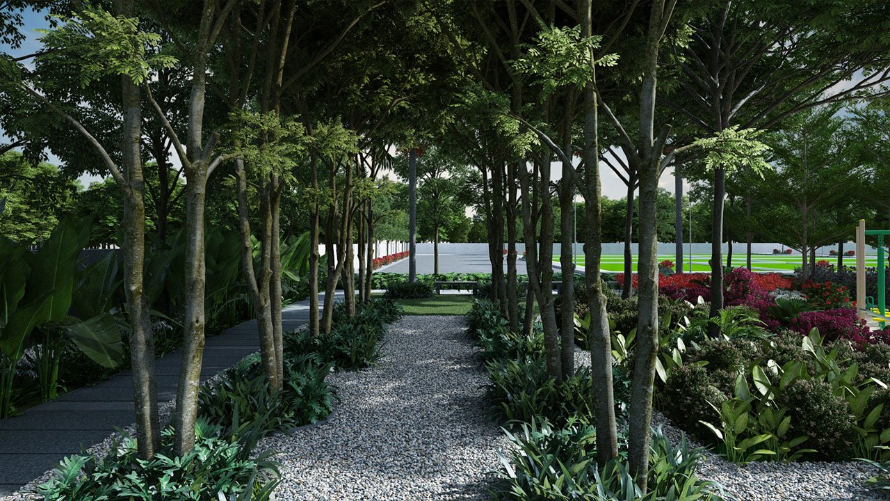 Current Project Renders