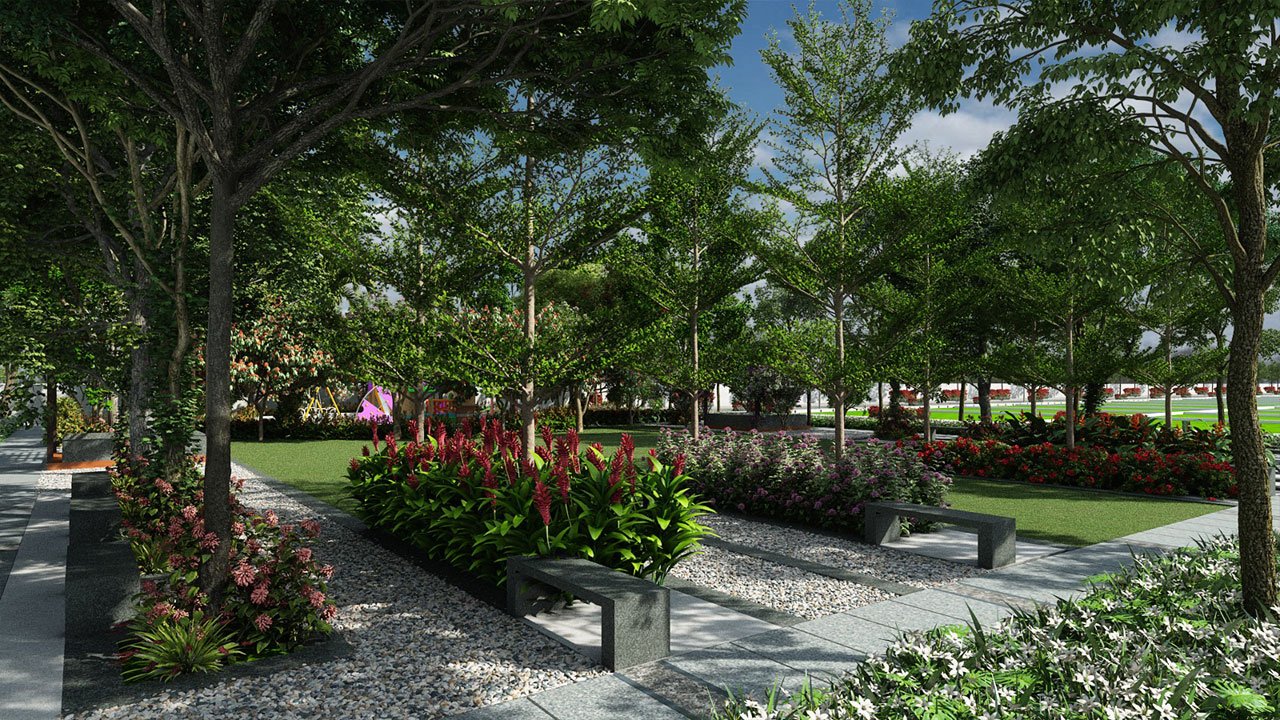 Current Project Renders